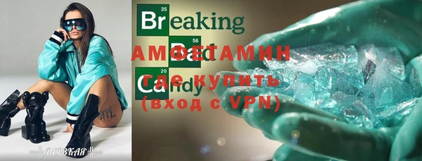 шишки Арсеньев