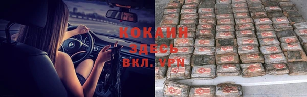 шишки Арсеньев