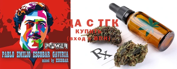 шишки Арсеньев