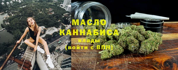 шишки Арсеньев