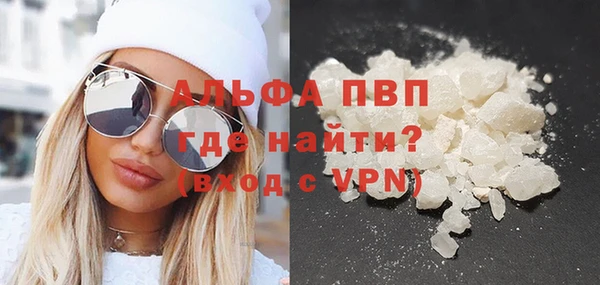 шишки Арсеньев