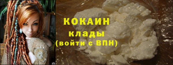 шишки Арсеньев