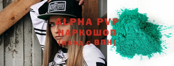 шишки Арсеньев