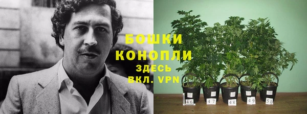 каннабис Аркадак