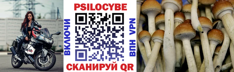 гидра ссылка  Палласовка  Псилоцибиновые грибы прущие грибы 
