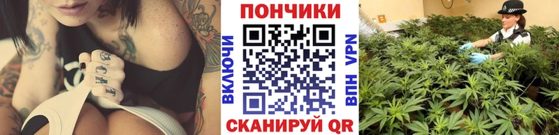 Шишки марихуана конопля  наркошоп  Палласовка 